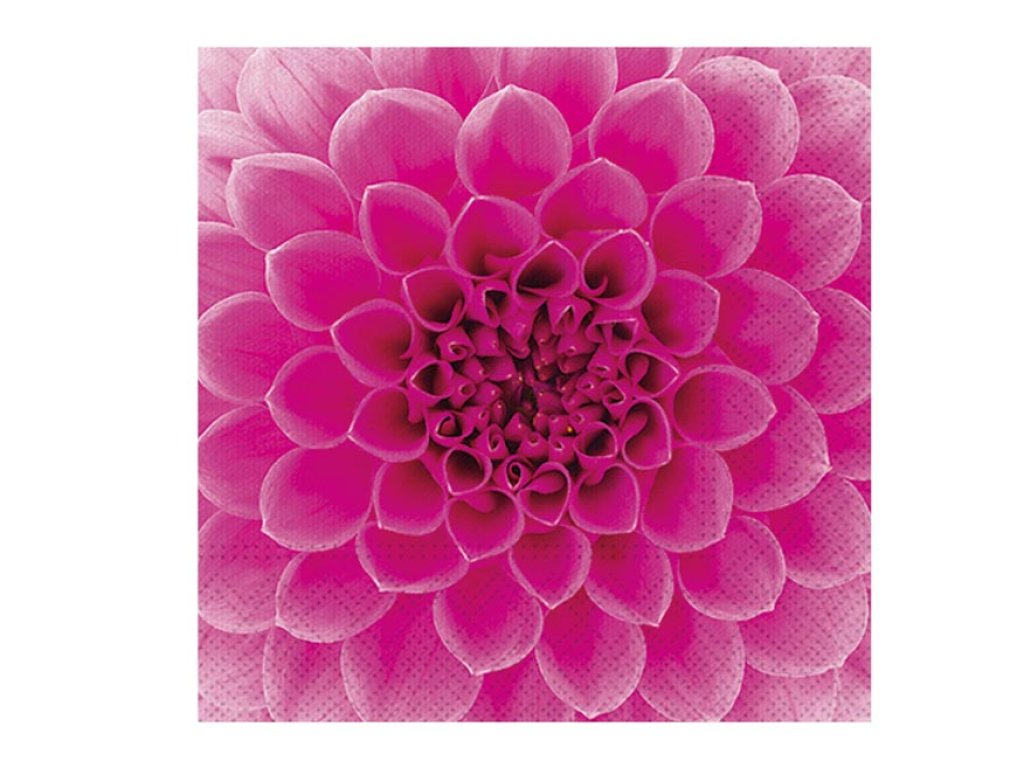 Papírszalvéta 33x33, SDL896013